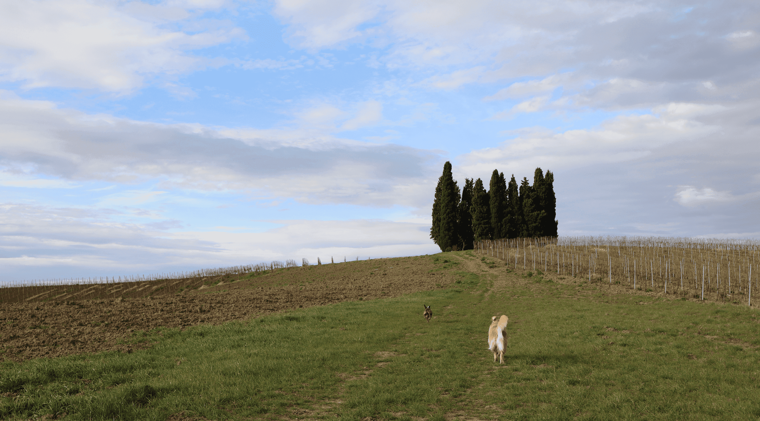 Paesaggio di Firenze e oltre
